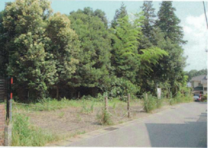 山林評価